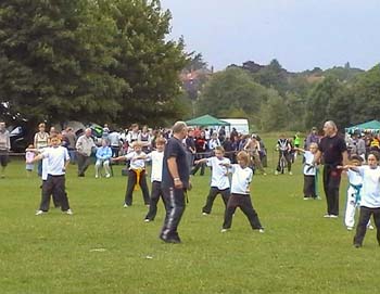 martial_arts_display