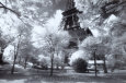 Afternoon in Paris