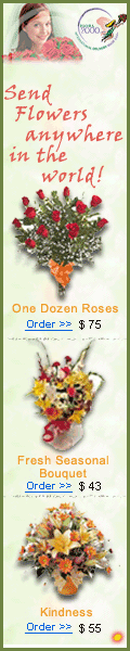 Used and Recommended by your Webmaster.